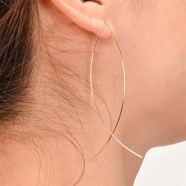 Elegant Fish Hook earrings. Beautiful Fish Hook earrings. Best novelty gift shop. Shop Online for cute stud earrings at Cutefunnystuff.com Hot selling products. Cute Funny Products, Gift shop online. Toronto Ontario Canada